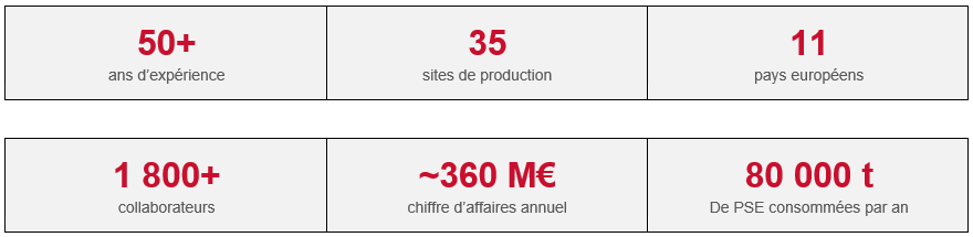 Chiffres groupe HIRSCH chffres cles groupe HIRSCH polystyrene polypropylene expanse